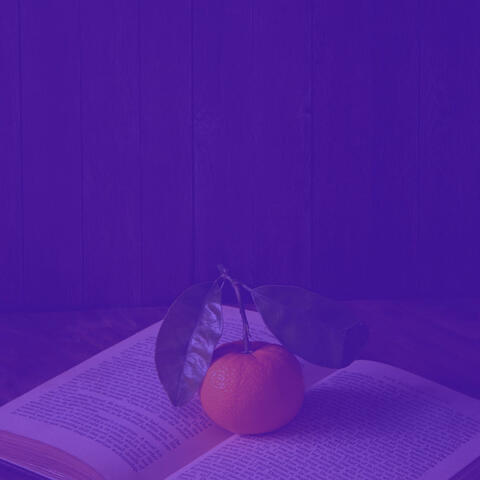 Music for Reading Fiction - Electric Guitar and Soprano Saxophone