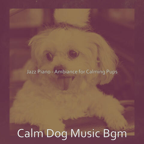 Jazz Piano - Ambiance for Calming Pups