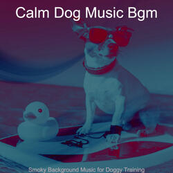 Hip Solo Piano Jazz - Vibe for Cute Dogs