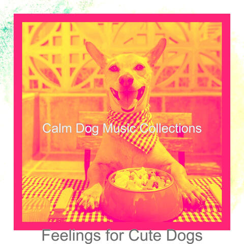 Feelings for Cute Dogs