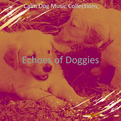 Sparkling Solo Piano Jazz - Vibe for Doggies