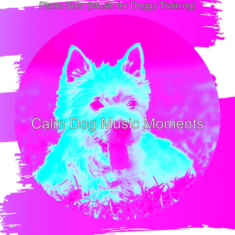 Piano Solo (Music for Doggy Training)