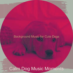 Modish Moods for Calming Pups