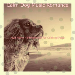 Debonair Backdrops for Relaxing Dogs