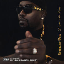 Attitude (feat. spice1)