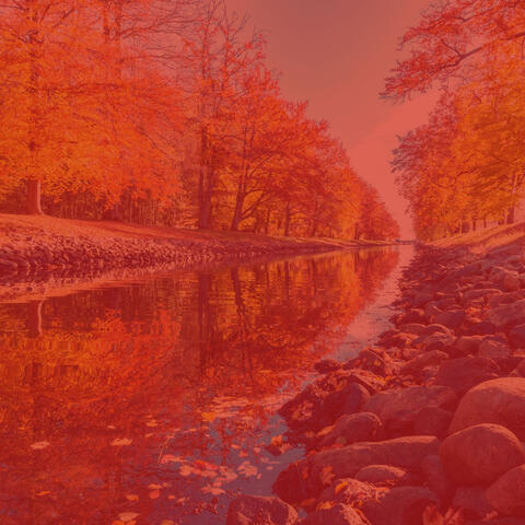 Easy Listening Guitar Solo - Background for Relaxing Mornings