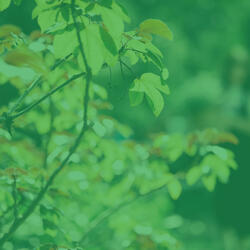 Background for Saturday Morning