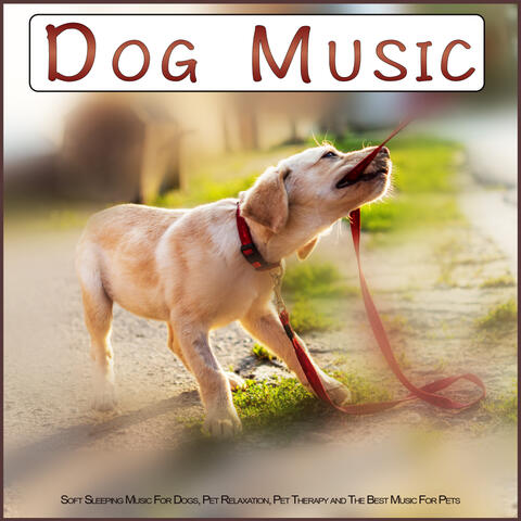 Dog Music: Soft Sleeping Music For Dogs, Pet Relaxation, Pet Therapy and The Best Music For Pets