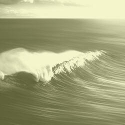 Distinguished Ambiance for ASMR