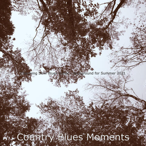 Charming Slow Blues Guitar - Background for Summer 2021