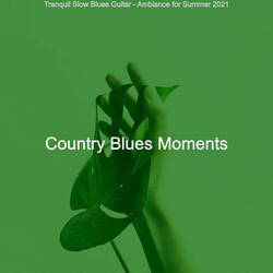 Blues Harmonica Soundtrack for Barbecues