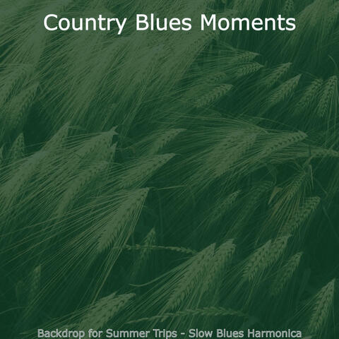 Backdrop for Summer Trips - Slow Blues Harmonica