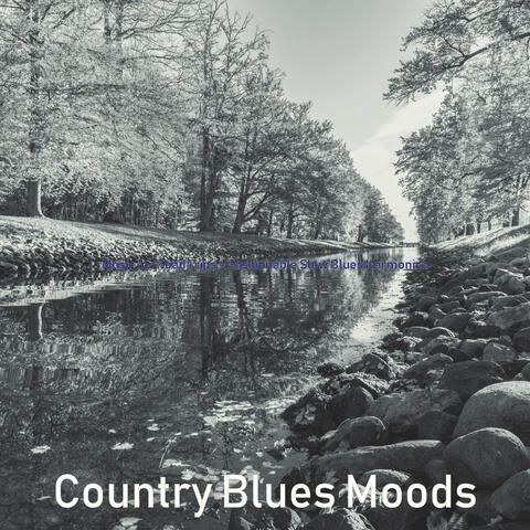 Music for Road Trips - Fashionable Slow Blues Harmonica