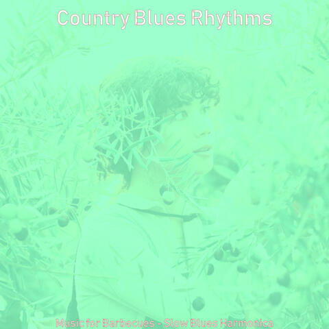 Music for Barbecues - Slow Blues Harmonica