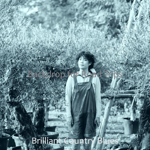 Backdrop for Road Trips