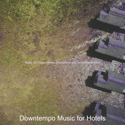 Music for Classy Hotels (Vibraphone and Tenor Saxophone)