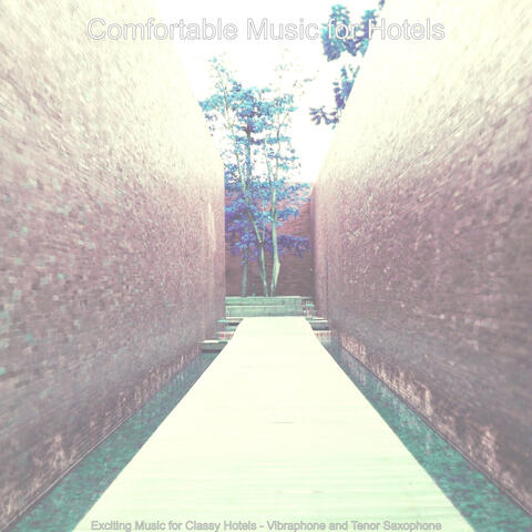 Exciting Music for Classy Hotels - Vibraphone and Tenor Saxophone