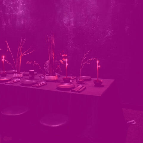 Dashing Ambiance for Diners