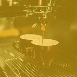 Paradise Like Coffeehouses