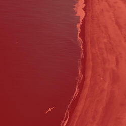 Sprightly Ambience for Self Care