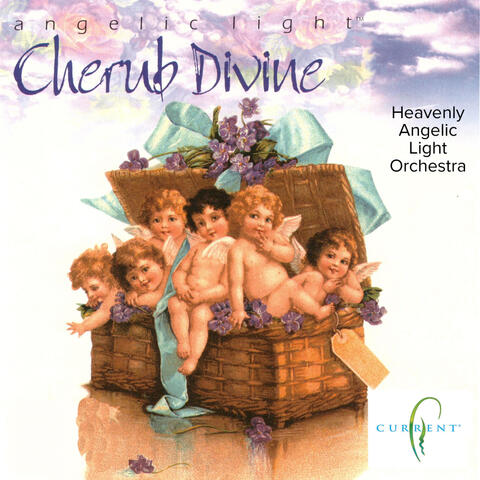 Cherub Divine