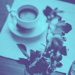 Modish Moods for Lunch