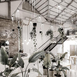 Background for Cafes