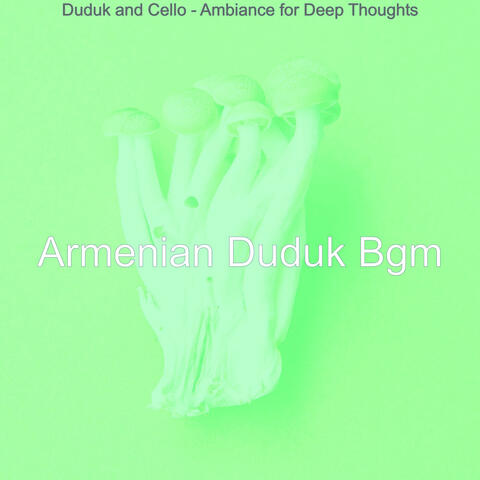 Duduk and Cello - Ambiance for Deep Thoughts