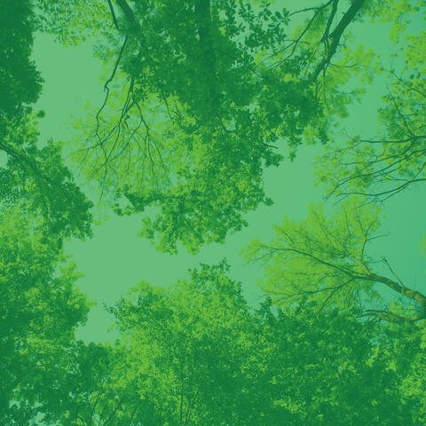 Dream Like Ambiance for Meditation