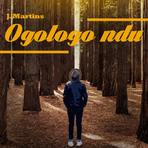 Ogologo Ndu