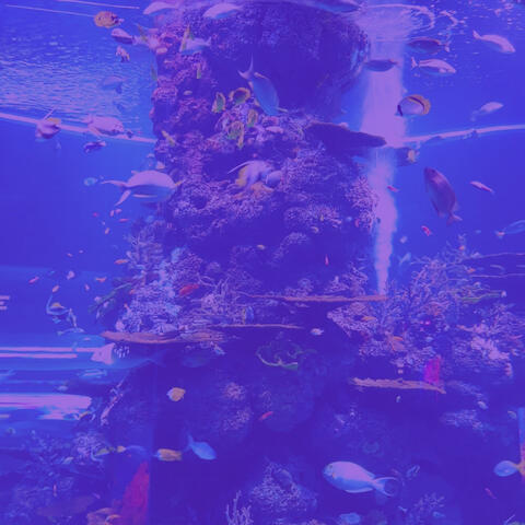 New Age Music - Bgm for Deep Thoughts