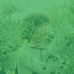 Entertaining Backdrops for Inner Peace