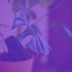 Magical Ambience for Meditation