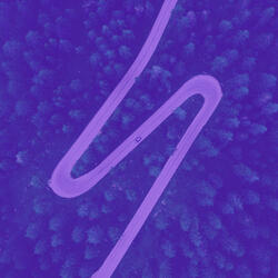 Heavenly Backdrops for Serenity