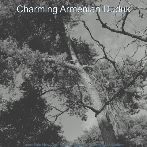 Incredible New Age Music - Bgm for Morning Meditation