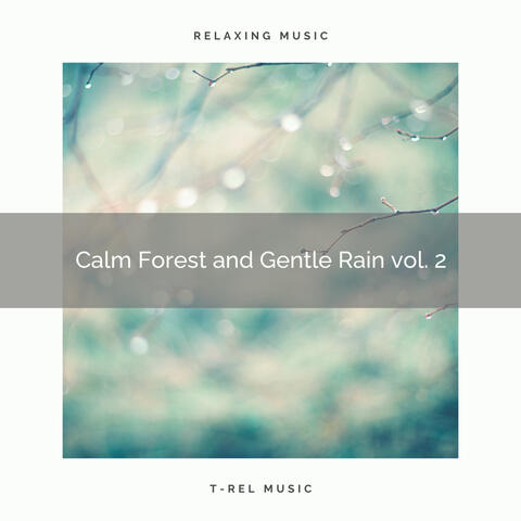 ! ! ! ! ! Calm Forest and Gentle Rain vol. 2