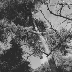 Joyful Ambiance for Complete Relaxation