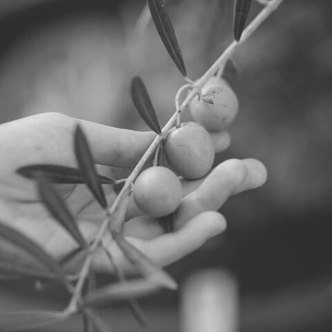 New Age Music - Bgm for Inner Peace