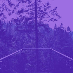 Vibrant Duduk and Piano - Vibe for Inner Peace