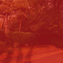 High Class Music for Background Music