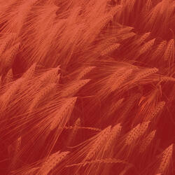 Background for Deep Thoughts