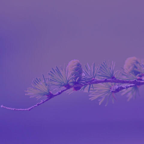 New Age Music - Bgm for Inner Peace