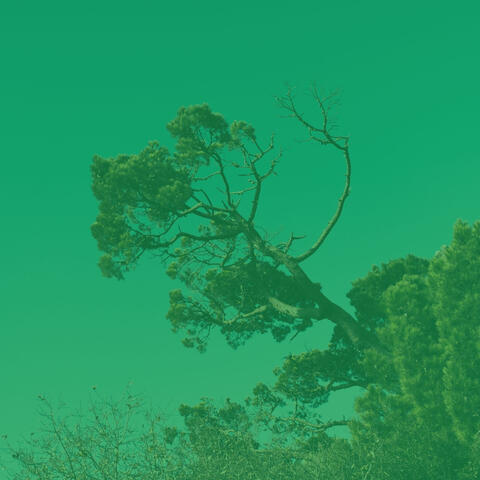 (Duduk Solo) Music for Deep Thoughts