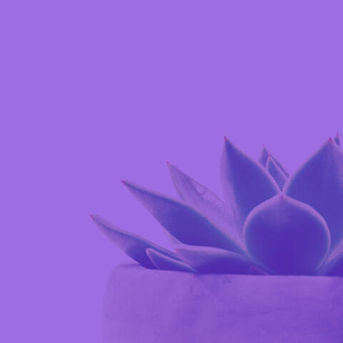 New Age Music - Background Music for Meditation