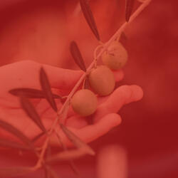 Mind-blowing Ambiance for Deep Thoughts