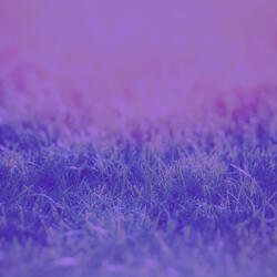 New Age Music Soundtrack for Inner Peace