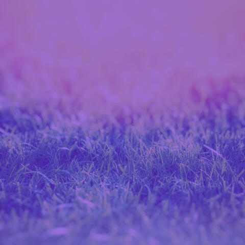 Music for Deep Thoughts - Duduk