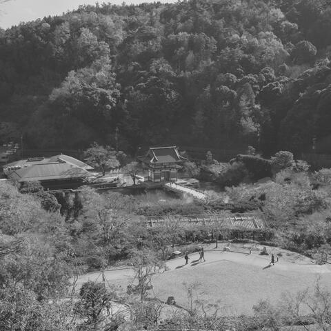 Tasteful Music for Complete Relaxation - Duduk