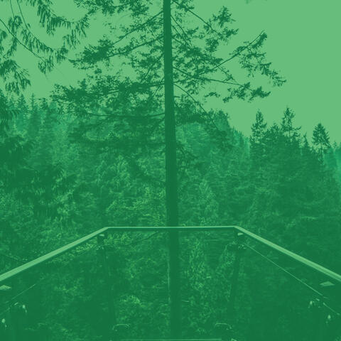 Music for Inner Peace - Duduk