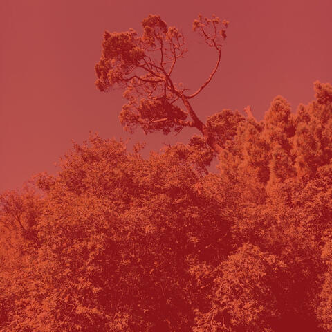 New Age Music - Bgm for Meditation